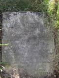 image of grave number 435297